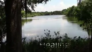 Healing From Within With Tony Valen