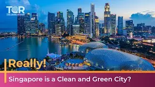 Do you Think Singapore is a CLEAN & GREEN Country? | Report