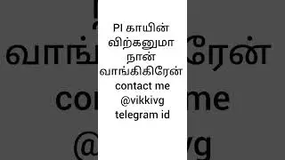 @pi network