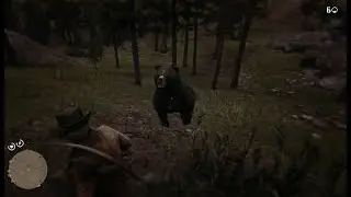 Weapons Expert 10: Grizzly Throwing Knife kill without getting hurt. Red Dead Redemption 2, 4K.