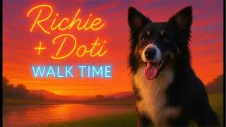 Richie + Doti LIVE! Dog Walk #bordercollie #puppy #mindfulness #chill #dog #northwales #fundraising