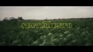 Fak - Sentimiento (Film by @tobiasbergese) 🦊