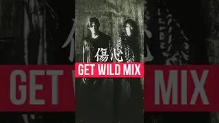 傷心（Get Wild Mix）#Bz #松本孝弘 #稲葉浩志 #TMNETWORK #小室哲哉 #getwild #シティーハンター #傷心 #FRIENDSII #bzmix