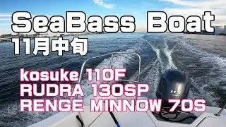 シーバスデイゲーム　ボートシーバス　バースの橋脚周り、京浜運河のストラクチャーゲーム、穴撃ち。レンジミノー　ルドラ　30gジグ