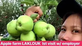 Memories sa Laklouk Lebanon #summer #winter #spring