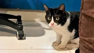 He Wasn&rsquo;t Supposed to Survive &mdash; But Look at Him Now