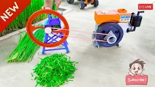 DIY Mini Diesel Engine Chaff Cutter Machine | Grass Cutting Science Project Live