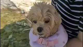 가족 캠핑 바로 이맛이네요~