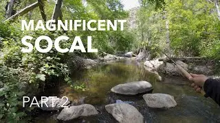 Fishing a Famous SoCal Creek | Tenkara Fly Fishing