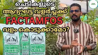 ചെടികളുടെ ആദ്യഘട്ട വളർച്ചക്ക് FACTAMFOS വളം കൊടുക്കാമോ? | Factamfos Agriculture Use | Q & A