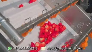 Bubble Type Strawberry Washing Machine