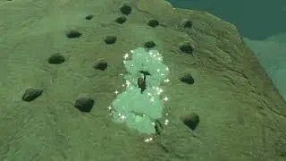[DAY 216] of finding one korok seed in TotK everyday until a new Zelda game comes out