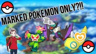 Can You Beat Pokemon Sword and Shield with 
