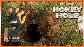 Металлоискатель Perfect Plugs & RITZY TREASURES Park с оборудованием Minelab Equinox 800.