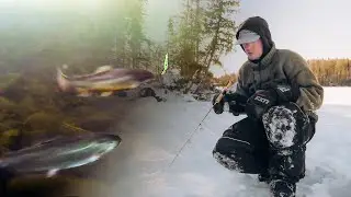 Ранняя подледная ловля форели на зарыбленных озерах
