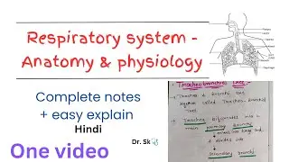 Complete Respiratory System - Anatomy & Physiology |notes| in one video | hindi | easy explanation.