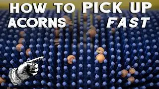 Picking Up Small Acorns fast with the Bag-A-Nut Harvester