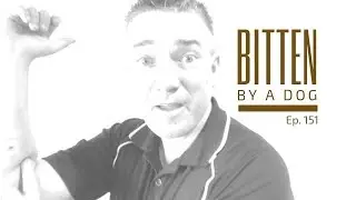 Ep151. I got bitten by a dog. | by Brendan Homan
