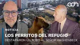Los perritos del albergue Franciscano destaparon el robo al patrimonio de Don Antonio Haghenbeck