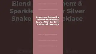 Pori Jewelry - Silver Magic Snake Chain Necklace || Use Code 