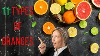 THE 11 BEST TYPES OF ORANGES