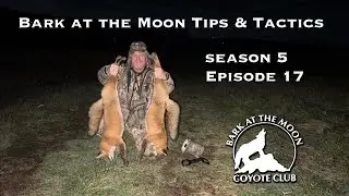 Bark at the Moon Tips & Tactics Ep 17