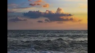 December Dream Wave Astrology-Human Design Forecast 2022
