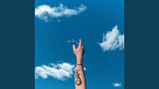 Up Boy