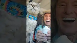 🍪🍦🤣 Мы заехали в знаменитый паб Jacob Lake Inn в Норт-Риме за печеньем и мороженым. #северныйрим