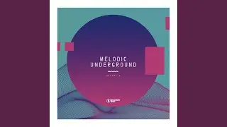 The Predicament (Original Mix)