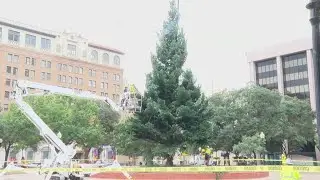 The Christmas tree has arrived at Travis Park! When will it light up?