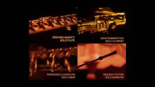 FluffyAudio - Solo Woodwinds
