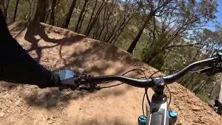 Crickey at Omeo mtb park