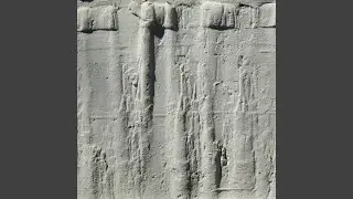 Cym 01