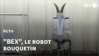 Un robot japonais en forme de chèvre pour aider les personnes âgées | AFP
