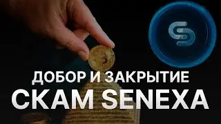 ⚠️ СКАМ SENEXA BIZ &ndash; ТОП 1 ХАЙП ПРОЕКТ ИЛИ СКАМ СЕНЕКСА? - ЗАКРЫТИЕ SENEXA