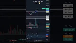 power of Elon Musk tweet 🔥#cryptocurrency #crypto #elonmusk #binance #fifa #doge