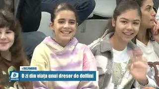 O zi din viața unui dresor de delfini