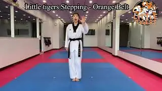 Little Tigers Stepping - Orange Belt