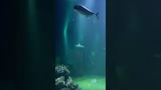 Universium Aquarium Gothenburg