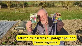 Comment attirer les insectes dans son jardin pour avoir une multitude de l&eacute;gumes
