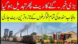 Today new Sugarcane rate 2025| Today Sugar mils rate update 2024-25|