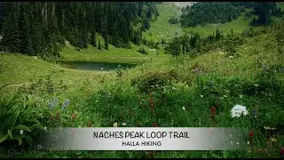Hiking Naches Peak Loop Trail #32 Mount Rainier Region