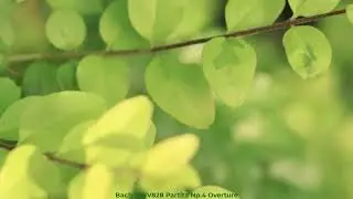 Bach BWV828 Partita Np.4 Overture