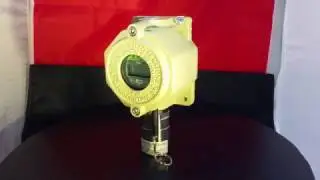 Gas Detector Methane In Explosion Proof Housing