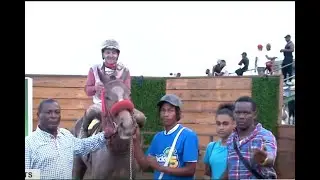 JAMAICA RACING: Teflon Don Upsets At 12-1, Sat, Nov 9, 2024, 9th
