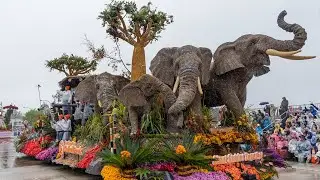 Behind the Scenes of the 137th Rose Parade | San Diego Zoo Wildlife Alliance