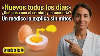 ¿Qué pasa si comes huevos todos los días? ¿Es bueno o malo? Análisis completo