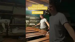 Chop Suey! By @systemofadown on #marimba #systemofadown #percussion