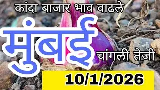 मुंबई कांदा बाजार भाव वाढले,kanda bajar bhav, mumbai kanda market report today live, onion market
